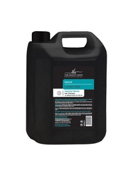 SHAMPOO VELVET BURBERRY 4LT(b2b)